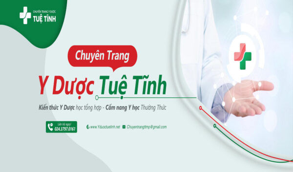 Trường Cao đẳng Y Dược Tuệ Tĩnh Hà Nội ra mắt chuyên trang về Y Dược
