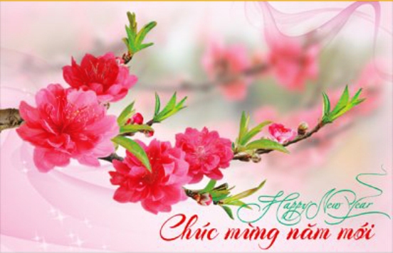 Kế hoạch đảm bảo An ninh trật tự, an toàn giáo thông, phòng chống cháy nổ dịp Tết nguyên đán Tân Sửu 2021