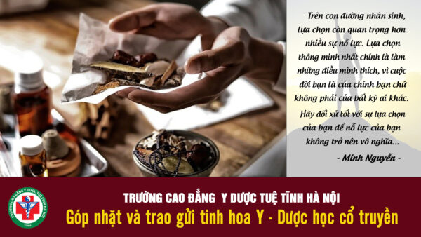 Tự chủ việc làm, thời gian, thu nhập với ngành Y học cổ truyền.
