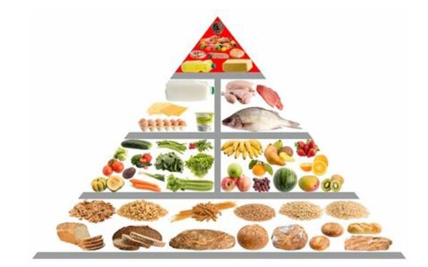 Tìm hiểu về Ngành Dinh dưỡng – Tiết chế