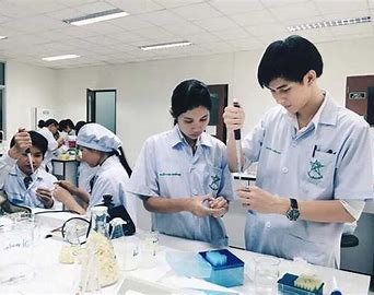 Ngành Dược Học Trường Nào? Các Trường Đào Tạo Ngành Dược Uy Tín