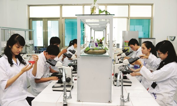 Lý do nên chọn ngành Dược