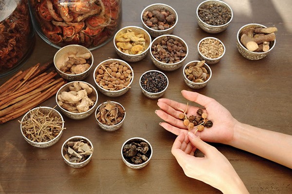 Ngành học Y học cổ truyền