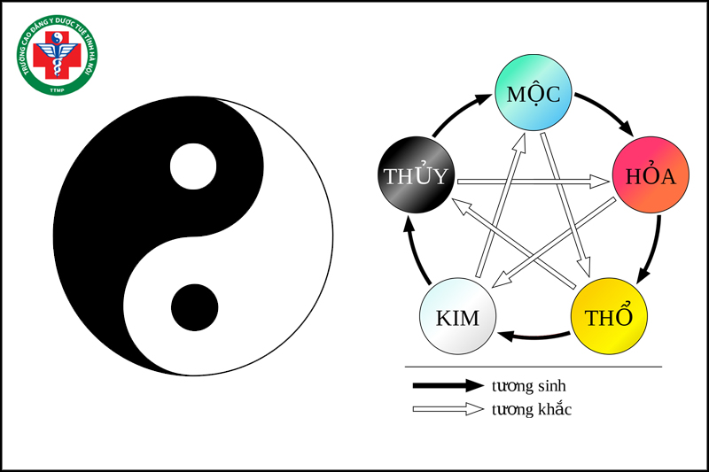 Y học cổ truyền dựa trên sự điều chỉnh cân bằng Âm dương Ngũ hành