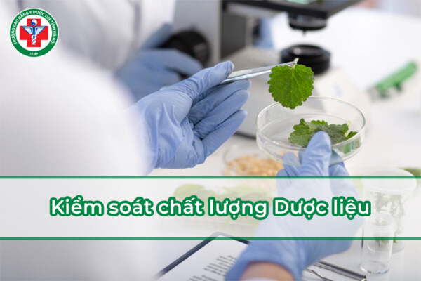 Kiểm soát chất lượng Dược liệu là gì? Chi tiết về những quy định 