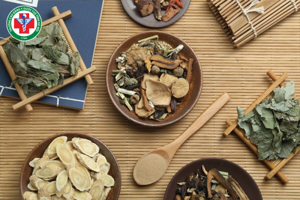 Có nên học Y học cổ truyền? Ưu nhược điểm có thể bạn chưa biết