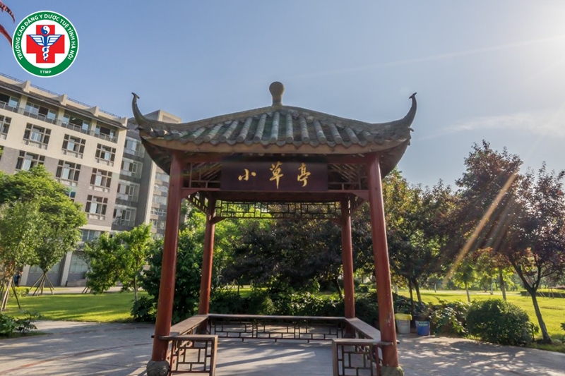 Du học Trung Quốc ngành y học cổ truyền có nhiều học bổng 