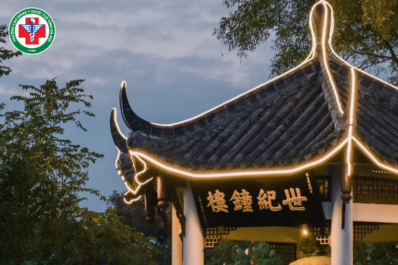 Chi phí du học Trung Quốc ngành y học cổ truyền khá hợp lý