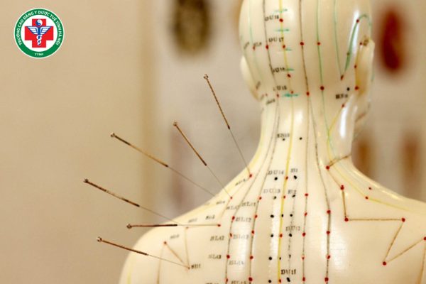 Bát mạch kỳ kinh trong Y học cổ truyền: Lý luận nền tảng và ứng dụng thực tiễn