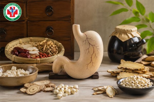Các chứng bệnh ở Tỳ thường gặp trong Đông y và dấu hiệu nhận biết