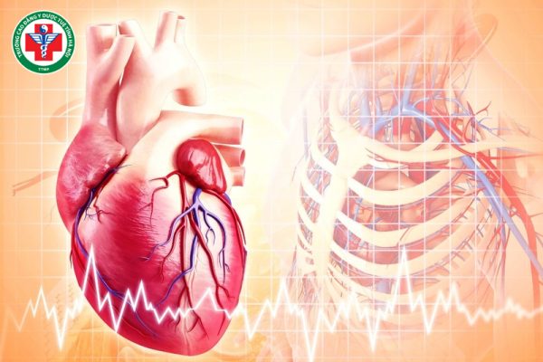 Tâm huyết hư là gì? Triệu chứng và cách điều trị theo Đông y