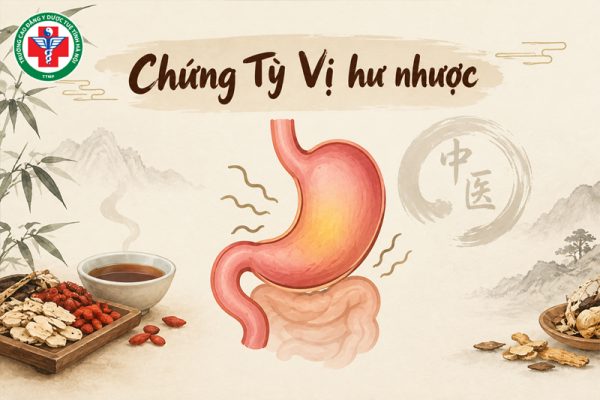 Chứng Tỳ Vị hư nhược: Biểu hiện và cách điều trị trong Đông y