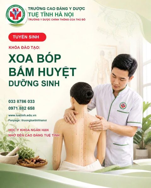 Khóa học châm cứu cơ bản tại Ninh Bình 2026